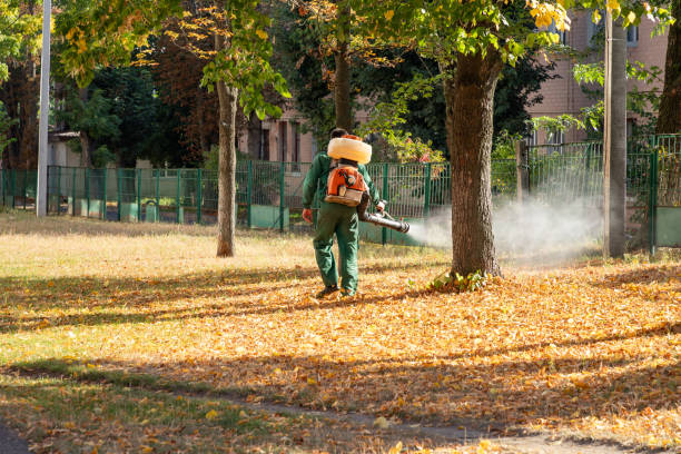 Best Pest Removal Services  in Hemlock Farms, PA