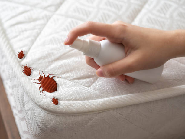 Best Cockroach Control Services  in Hemlock Farms, PA